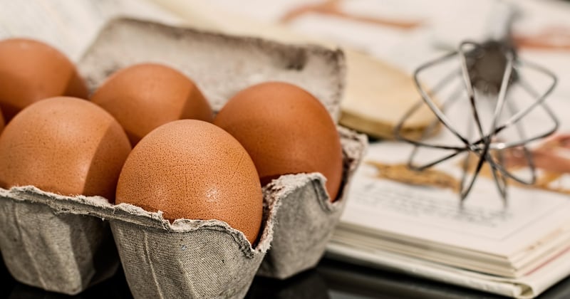 10 recettes faciles pour étudiants avec peu d'ingrédients