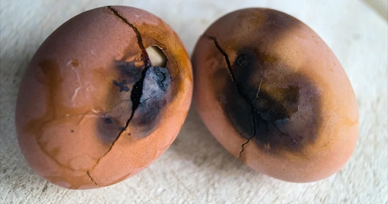 Les erreurs fréquentes qui tuent une recette du monde