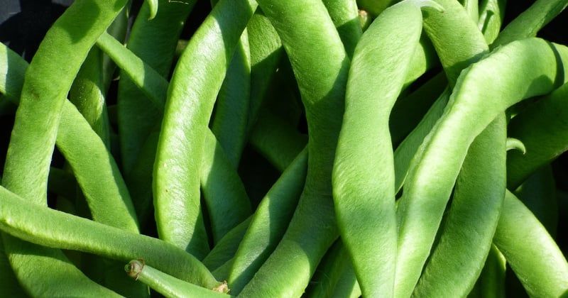 25 idées de plats végétariens à base de légumineuses qui changent