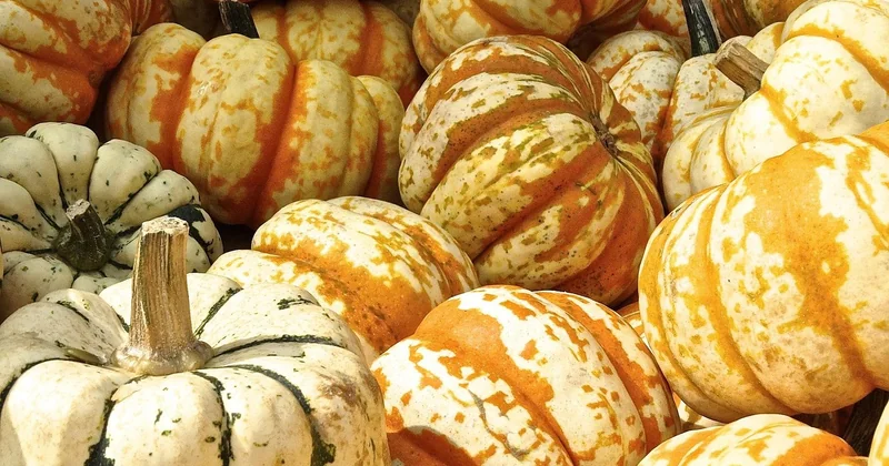 La saisonnalité change le goût plus que la marque